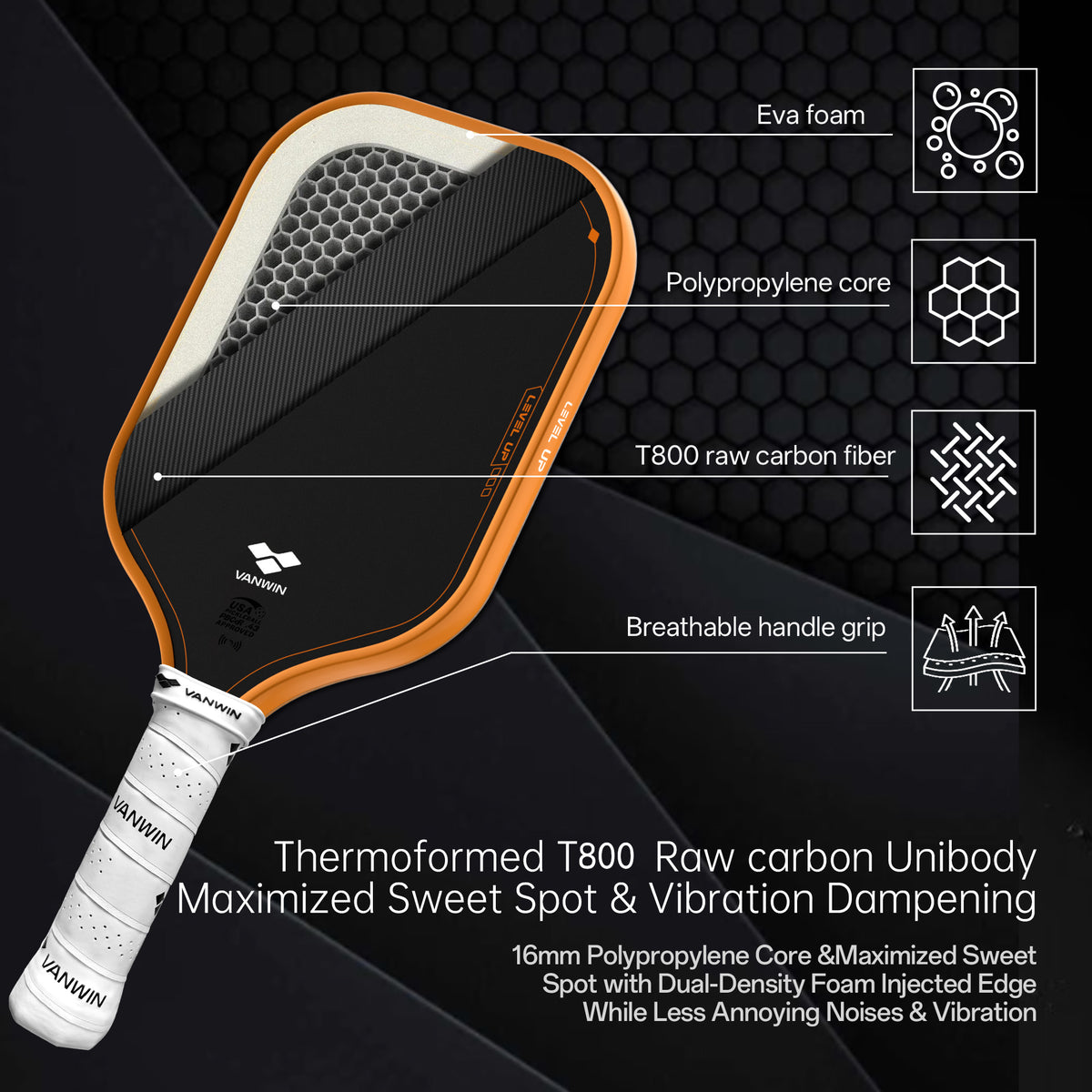 VANWIN Pro T8 pickleball paddle cutaway showing T800 raw carbon fiber, polypropylene honeycomb core, and EVA foam perimeter.